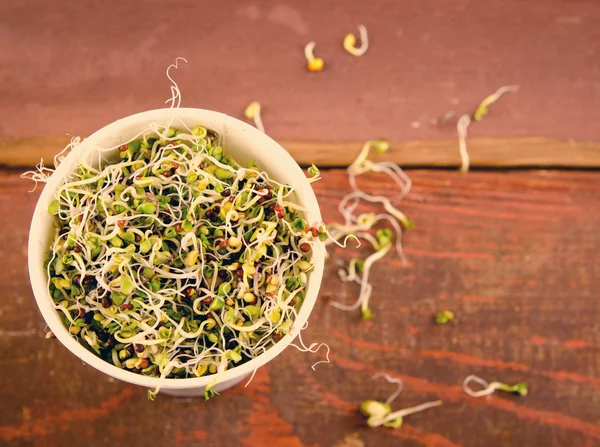 Sortimento de microgreens em copo de papel. Salada verde saudável com brotos crus frescos — Fotografia de Stock