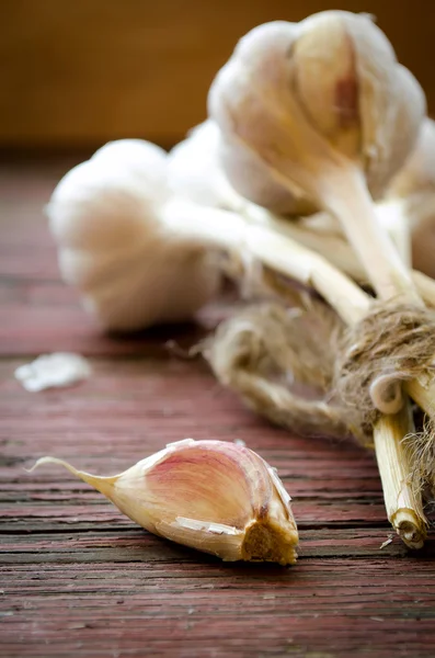 Oude biologische knoflook geheel en op de houten achtergrond teentjes — Stockfoto