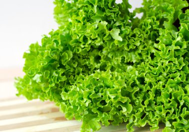 Tatlı taze yeşil marul salata yaprakları