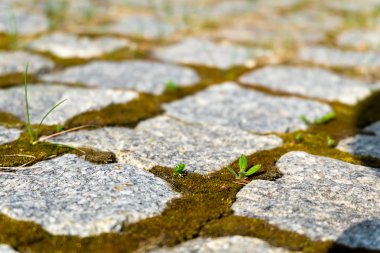 Eski taş doku arka plan