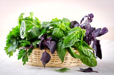 Bitki yaprak seçimi rustik ahşap sepet içinde