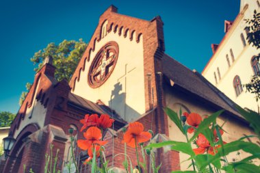 Haşhaş kilisenin önünde büyümek