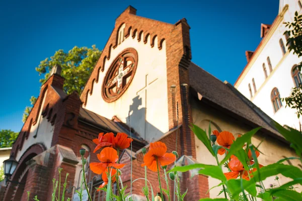 Haşhaş kilisenin önünde büyümek