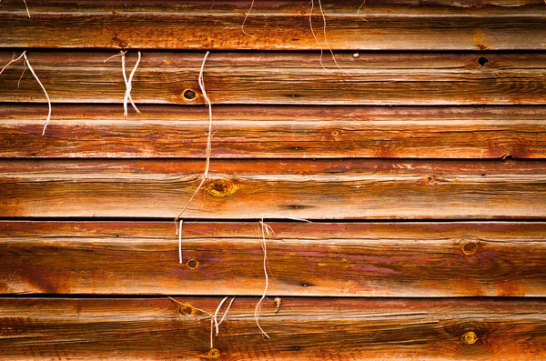 Drewna tekstura tło z roślin rosnących na zewnątrz — Zdjęcie stockowe