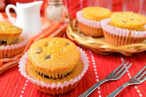 Hausgemachte Schwarzstrom-Muffins im Papierkuchenhalter — Stockfoto