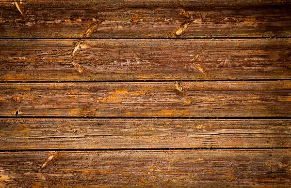 Sfondo texture legno con motivo naturale — Foto Stock