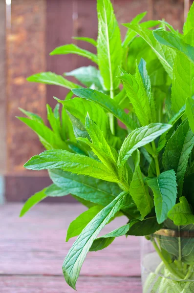 Fresh mint bunch on garden table — Stock Photo, Image