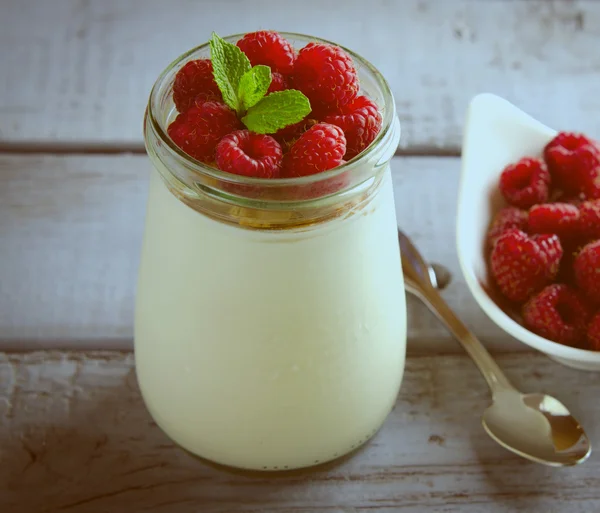 Terveellinen aamiainen - tuore kreikkalainen jogurtti vadelmilla ja mintulla — kuvapankkivalokuva