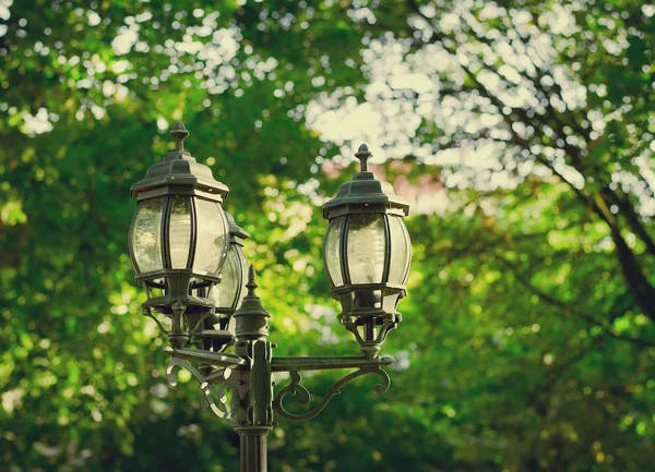 Зображення в вінтажному стилі зі старою вуличною лампою в парку — стокове фото