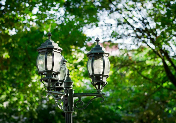 Vintage style picture with old street lamp in the park — Stock Photo, Image