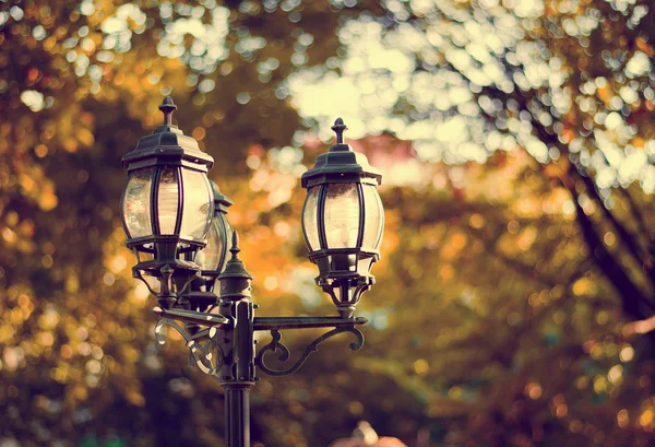 Parkta eski sokak lambasıyla klasik bir resim.