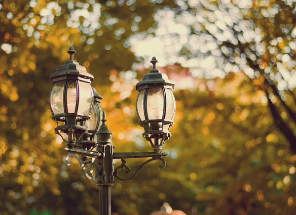 Vintage stylu zdjęcie ze starą lampą uliczną w parku — Zdjęcie stockowe