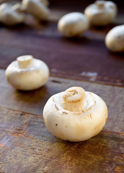 Ruwe verse champignons paddestoelen — Stockfoto