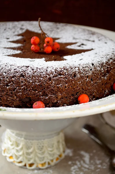 Pastel de Navidad de chocolate casero espolvoreado con azúcar en polvo — Foto de Stock