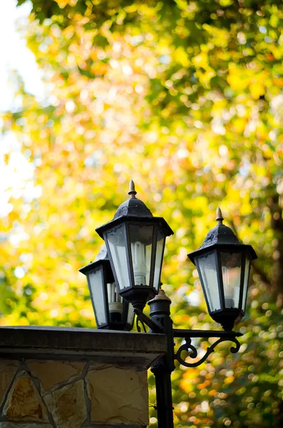 Vintage stylu zdjęcie ze starą lampą uliczną w parku — Zdjęcie stockowe