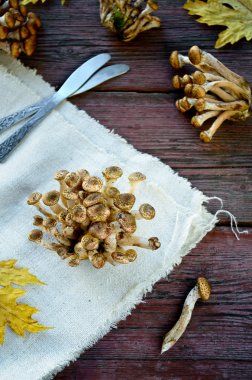 Vahşi tatlım agaric mantar ahşap arka plan üzerinde