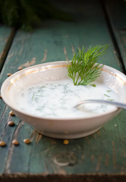 Mísa čerstvý jogurt dip s koprem a česnekem — Stock fotografie