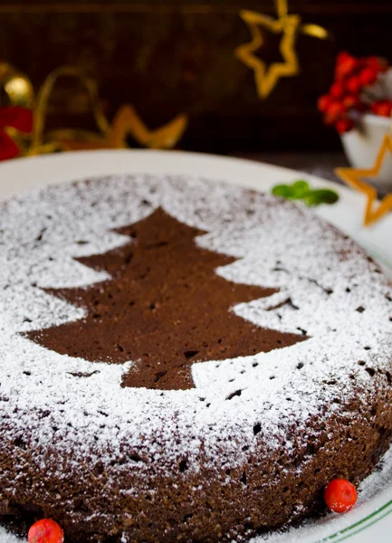 Hausgemachter Schokoladen-Weihnachtskuchen mit Zuckerpulver bestreut — Stockfoto