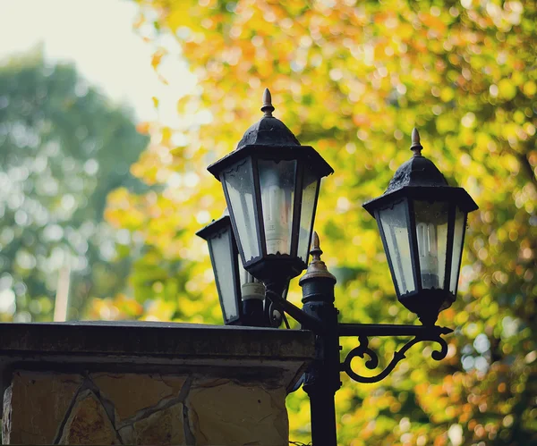 Зображення в вінтажному стилі зі старою вуличною лампою в парку — стокове фото