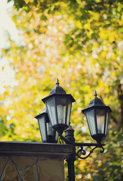 Imagen de estilo vintage con lámpara de calle vieja en el parque — Foto de Stock