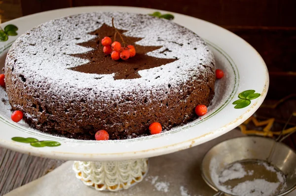 Pastel de Navidad de chocolate casero espolvoreado con azúcar en polvo — Foto de Stock