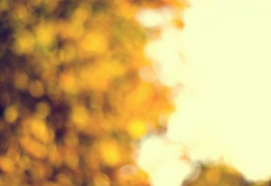Altın Sonbahar yaprakları ile bokeh arka plan bulanık
