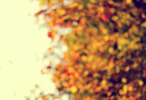 Verschwommener Hintergrund aus goldenen Herbstblättern mit Bokeh — Stockfoto