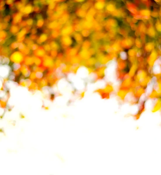 Verschwommener Hintergrund aus goldenen Herbstblättern mit Bokeh — Stockfoto