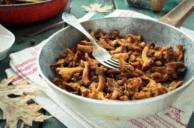 Soğan ve taze otlar tavada kızarmış Chanterelles