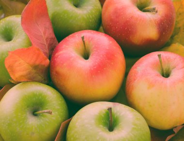 Kırmızı ve yeşil elma sonbahar akçaağaç yaprakları ile