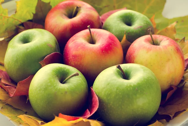 แอปเปิ้ลสีแดงและสีเขียวที่มีใบเมเปิ้ลฤดูใบไม้ร่วง — ภาพถ่ายสต็อก