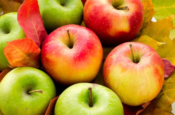 Manzanas rojas y verdes con hojas de arce de otoño — Foto de Stock