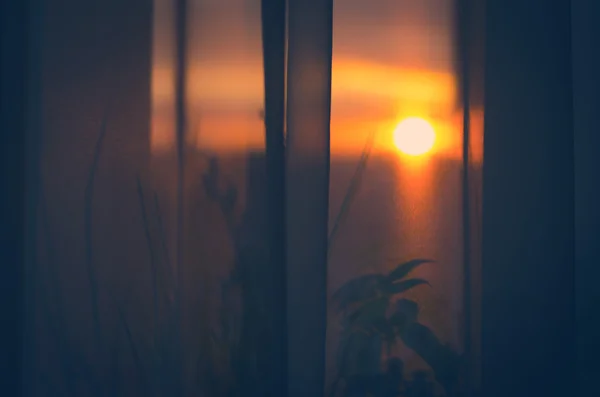 View the sunset from balcony through curtains — Stock Photo, Image