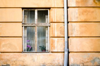 Eski ahşap windows kare çimento üzerinde duvar kırık