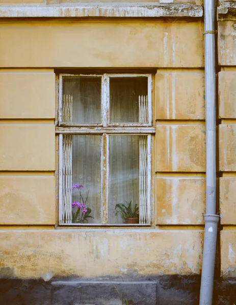 Старая деревянная оконная рама на цементной трещине — стоковое фото