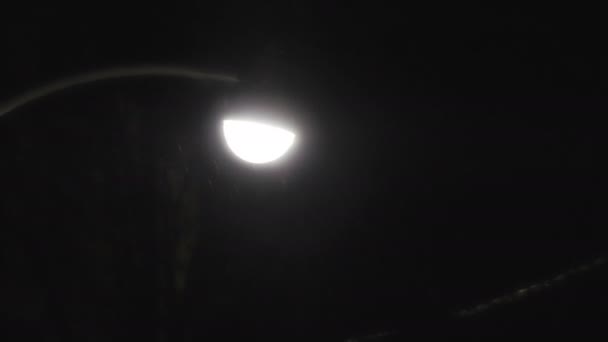 Pouliční lampa v deště bouře. — Stock video