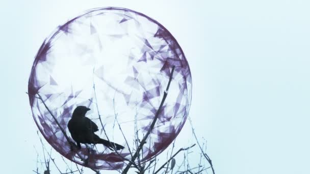 Motion Background mettant en vedette un corbeau 