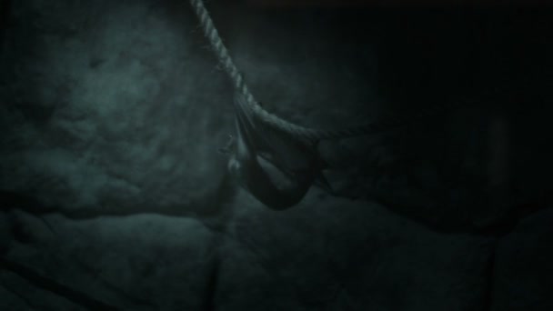 Chauve-souris rampant sur une corde 