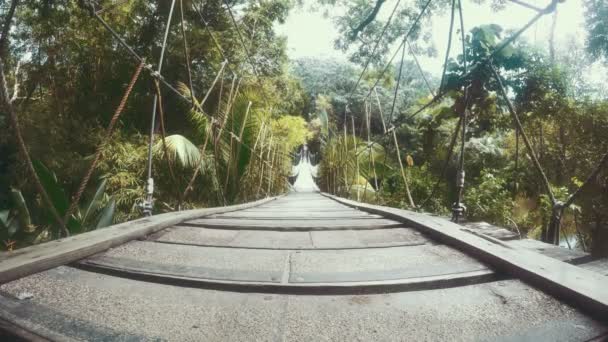 Puente de madera estirado sobre una selva tropical — Vídeos de Stock