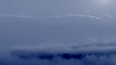 Şafakta üzerinde bir forest takas sis.