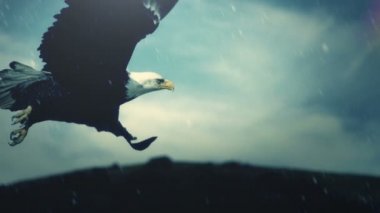American Eagle bir fırtınadan uçan