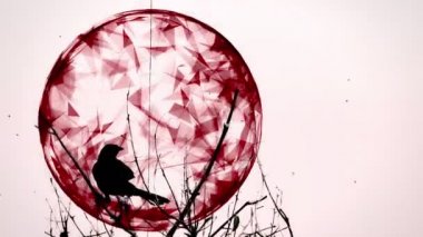 Kuzgun ve animasyonlu tasarım öğeleri