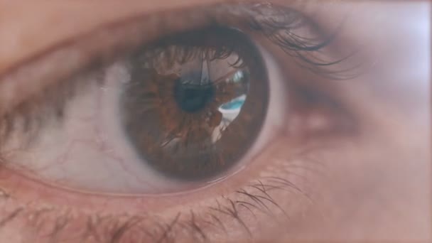 Female eye macro. — Stock Video