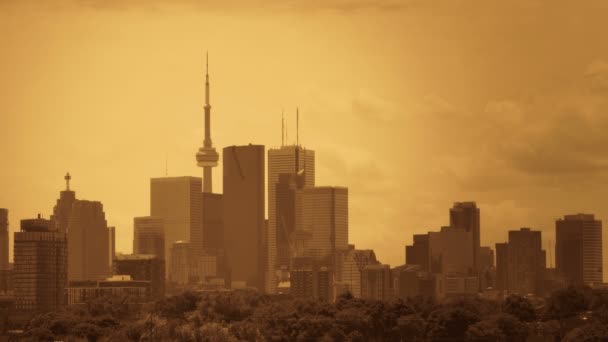 Toronto sett från en färja — Stockvideo