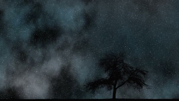 Зимнее дерево и звездное небо — стоковое видео