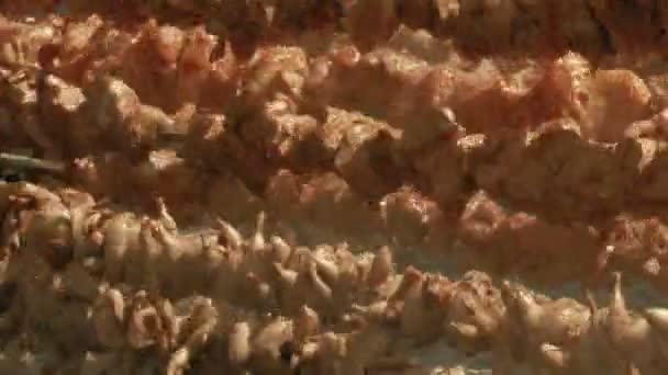 Жарящее мясо на вертеле — стоковое видео