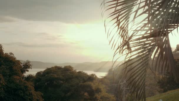 Playa tropical con palmera — Vídeo de stock