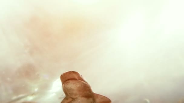 Requin passant très près .