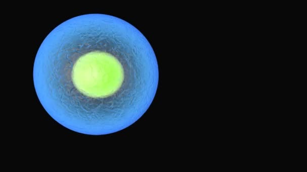 Cell division, mitosis — Stock Video