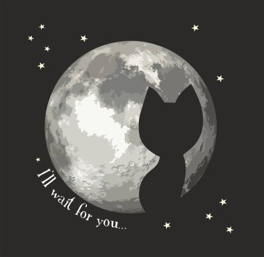 Ay 'ın arka planındaki kedi, gece gökyüzü, yıldızlar